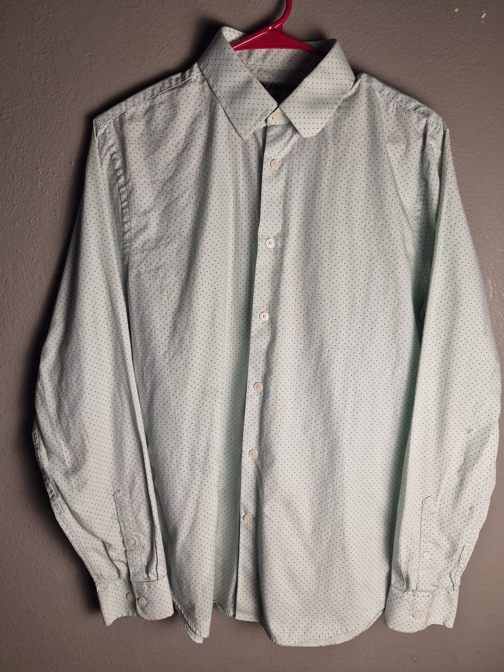 Express Men's Light Mint Button-Up Dress Shirt